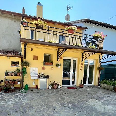 Sassaia11 Villa Arezzo Eksteriør billede