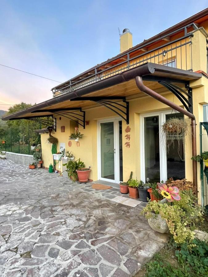 Sassaia11 Villa Arezzo Eksteriør billede