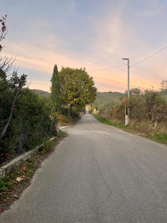 Sassaia11 Villa Arezzo Eksteriør billede